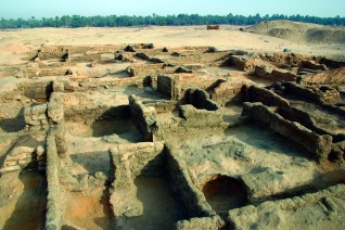 These small mud-brick houses provided the typical domestic environment for most of Amarna's residents. This was the first neighbourhood-level clearance of Amarna housing undertaken in modern times.